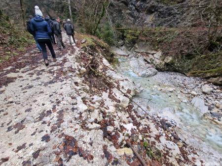 Terenski ogledi poškodovanih gozdnih cest (6)